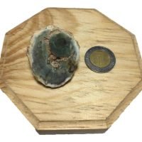 Tronco De Madera Petrificada Original Ujm