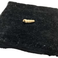 1 Piedra Turritela Fosil Natural Colección