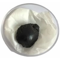 Fosil De Almeja Chica Piedra Natural