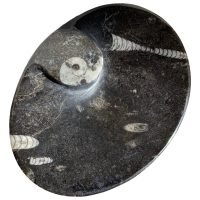 Bello Platon De Piedra Fosil Con Incrustaciones De Ammonite