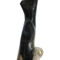 Madera Petrificada En Forma De Rama Piedra Natural