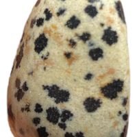 1 Jaspe Dálmata Piedra Natural Mineral Colección