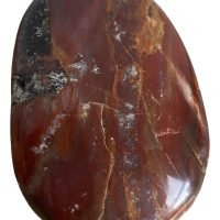 1 Palmstone De Madera Petrificada Piedra Natural Chakras