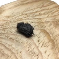 Magnetita Mineral De Colección