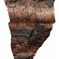 1 Ojo De Toro En Bruto Piedra Natural Reiki Sanacion Mineral