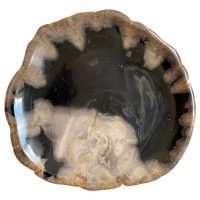 1 Plato De Madera Petrificada Piedra Fósil Natural