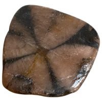 Quiastolita O Chiastolita Mineral De Colección