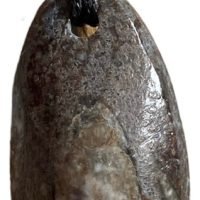 1 Dije De Piedra Natural Orthocera Belemnite Fosil