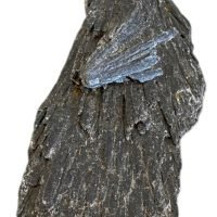 1 Cianita Kyanita Negra Mineral Colección Reiki Yoga Escoba