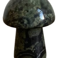 1 Hongo Jaspe Kambaba 2 Cm Piedra Natural Esoterico