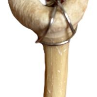 Dije De Diente De Tiburón Fosil