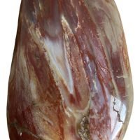 1 Palmstone Madera Petrificada Piedra Natural Chakras