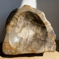 Bowl De Madera Petrificada 2.5 Kg