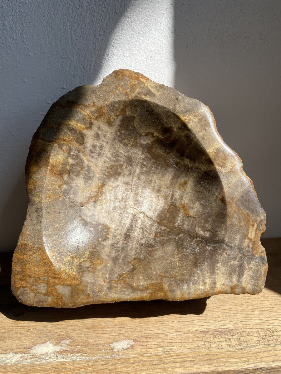 Bowl De Madera Petrificada 2.5 Kg