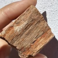 D_962187-MLM104907271312_012026-F.jpg 1 Trozo Piedra De Tronco De Madera Petrificada Natural