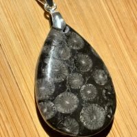 Dije Coral Negro En Plata 925 Piedra Natural Amuleto