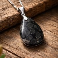 Dije Coral Negro En Plata 925 Piedra Natural Amuleto Reiki