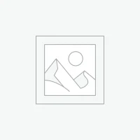 Bowl De Madera Petrificada 2.5 Kg